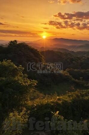 阿甲足球比分ds-阿甲足球比分DS,数据背后的激情与策略博弈
