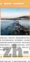 巴西足球球赛比分-巴西足球,绿茵场上的比分狂想曲
