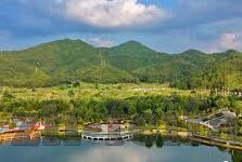 韩国足球比分-从逆袭到巅峰,韩国足球比分背后的热血征程与精神传承