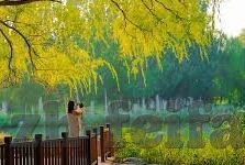 泰达足球昨天比分-泰达足球,昨日激战,比分背后的故事与启示