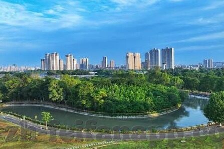 足球比分报价图片欣赏-绿茵激情与视觉盛宴,足球比分报价图片欣赏全解析