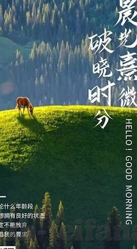足球比分竞彩足彩-足球比分竞彩足彩，一场智慧与运气的博弈盛宴