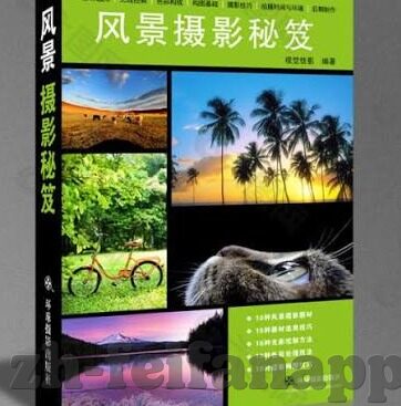 足球买比分玩法说明-足球买比分玩法全解析,规则、策略与风险警示